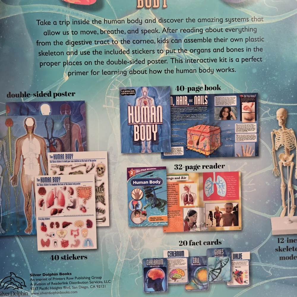 NEW Learning Adventures Human Body 12